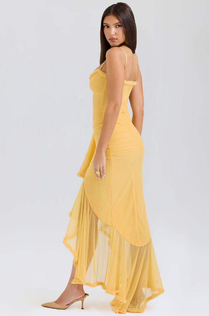 Rosalie Ruffled Maxi Dress